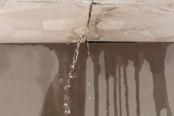 Professional Structural Drying technician working in Little Falls, NJ